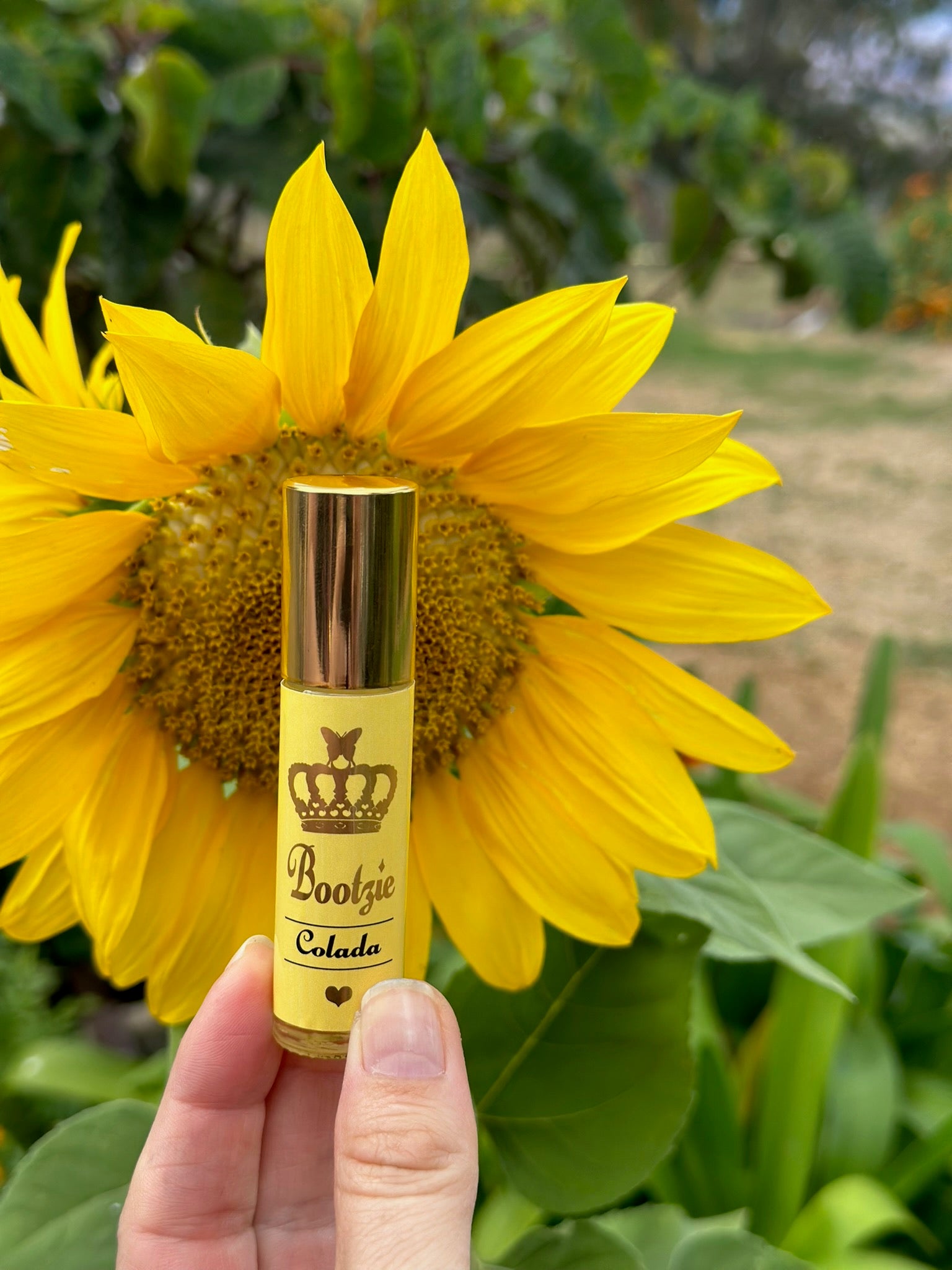 Perfume Oil - Colada- (Pineapple, Vanilla, Coconut, Musk)- Bootzie Colada Oil-1 oz Refill + 1 Full Size 10ml Roller - Bootzie 